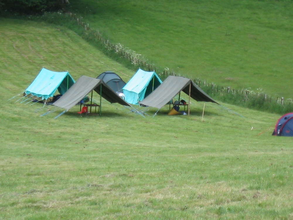Scout - Summer Camp